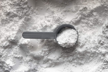 creatine poeder scoop