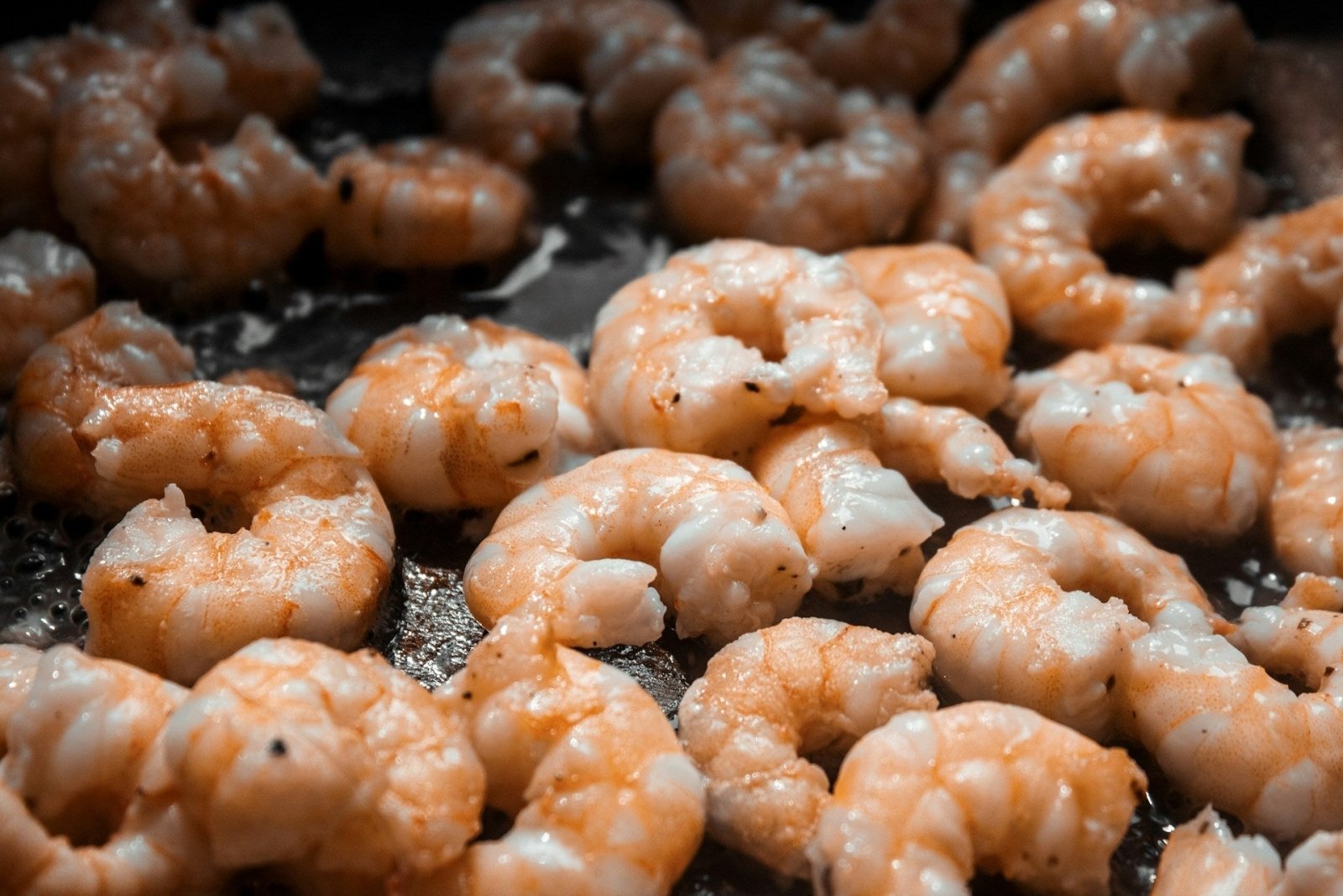 Hoeveel eiwitten zitten er in garnalen? - Kosso Nutrition | Kwaliteit = prioriteit