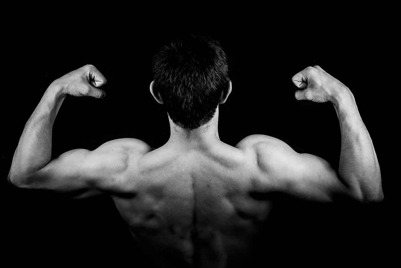 De beste dumbbell schouder oefeningen voor een sterke en gedefinieerde look - Kosso Nutrition | Kwaliteit = prioriteit
