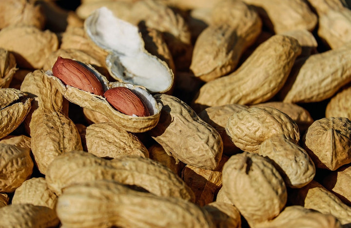 In welke noten zitten de meeste eiwitten? - Kosso Nutrition | Kwaliteit = prioriteit