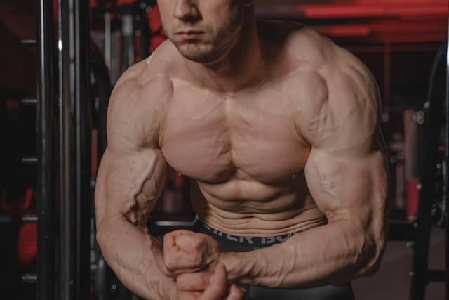 De beste biceps oefeningen voor grotere armen - Kosso Nutrition | Kwaliteit = prioriteit