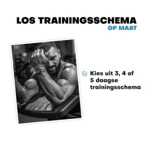los trainingsschema